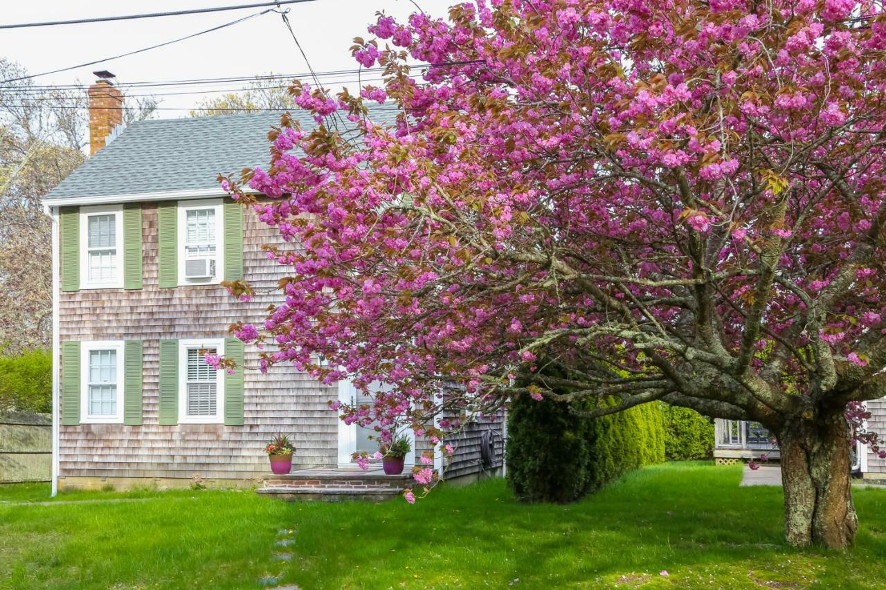 Villa Island Sanctuary Oak Bluffs Esterno foto